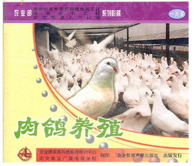 视频教程报价 厂家