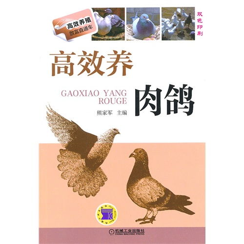 高效养肉鸽 高效养殖致富直通车 ,9787111460268