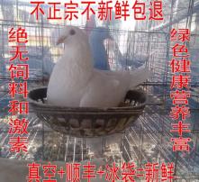 高清图片