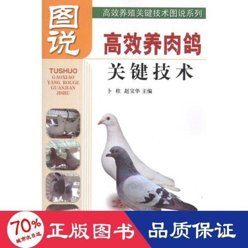 高效养殖关键技术图说系列 图说高效养肉鸽关键技术