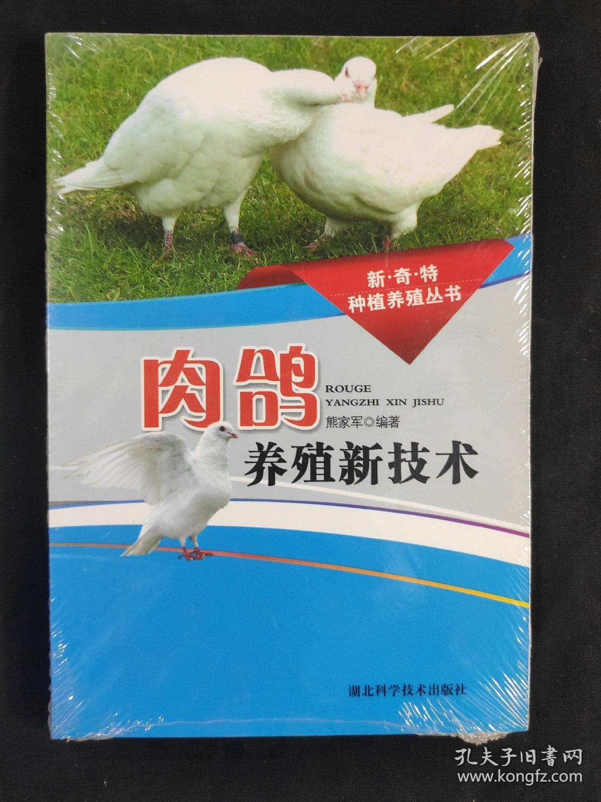肉鸽养殖新技术